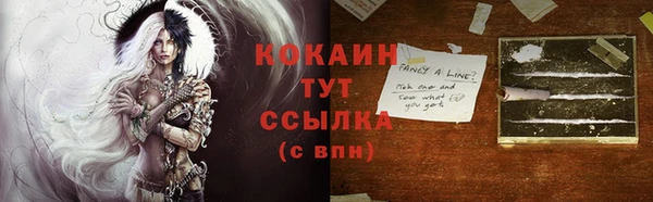 тгк Магас