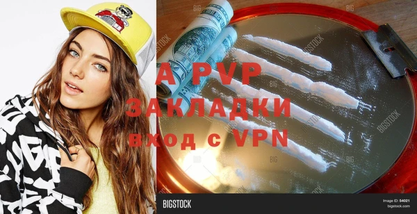 тгк Магас