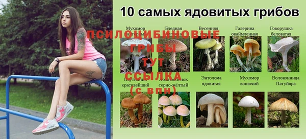 МДМА Майский