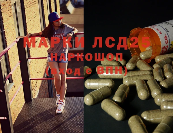 apvp Магадан