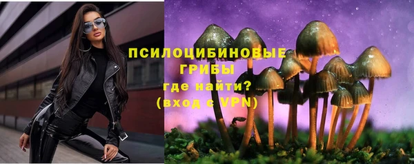 тгк Магас