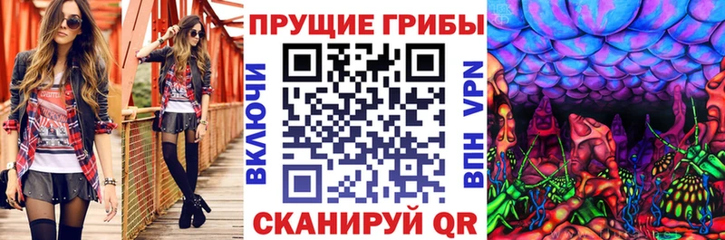 Псилоцибиновые грибы мицелий  Тарко-Сале 